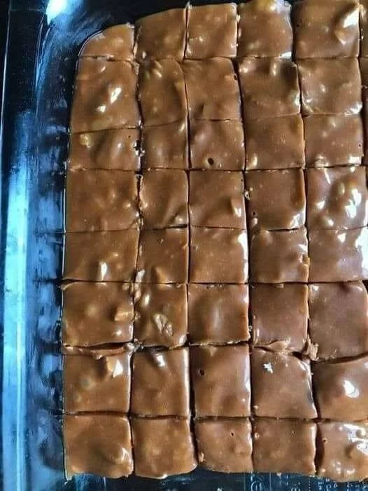 Delicious Peanut Butter Chocolate Squares ready to be enjoyed as a dessert.